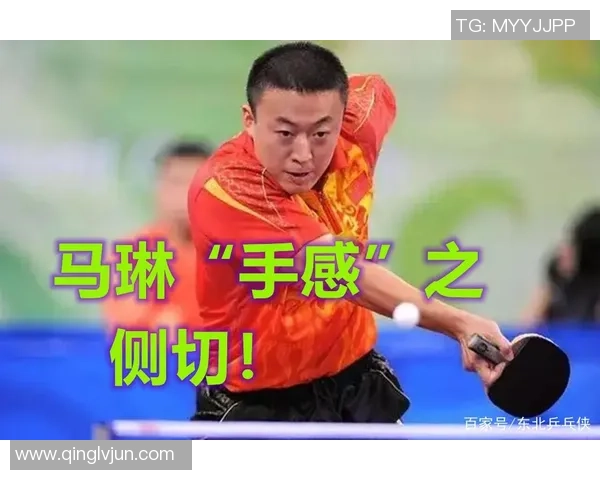 乒乓球焦点：成都乒乓球队的心理素质探讨